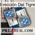 Erección Del Tigre viagra5